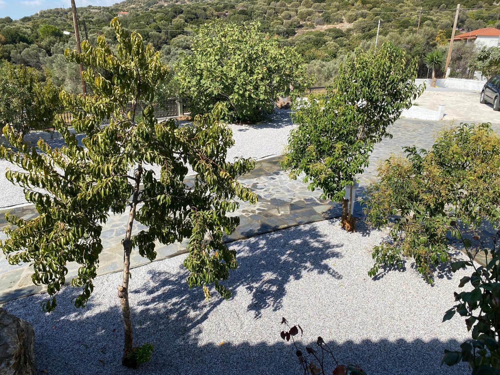 Villa Karras 毕达哥利翁 外观 照片
