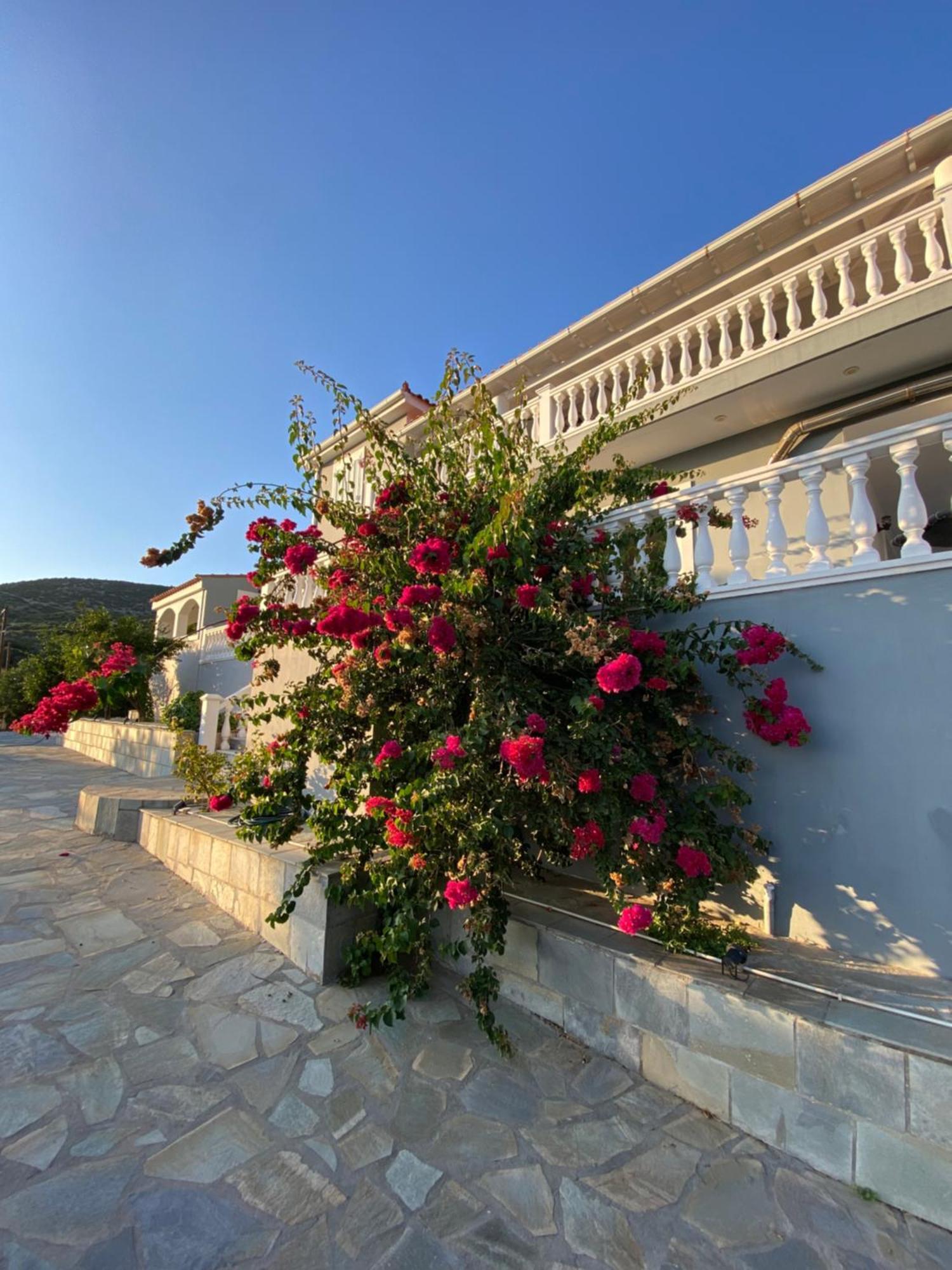 Villa Karras 毕达哥利翁 外观 照片